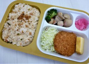 鶏そぼろこがしネギ2024.11