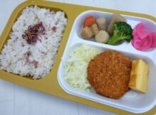 梅しらすご飯2024.10